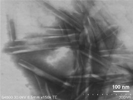 AZoNano - The A to Z of Nanotechnology - A scanning electron microscopic image (transmission mode) of white organic nanotubes in the solid powdery state.