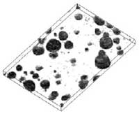 3D Model of multicomponent polymer blend. Model size 8.0x5.6x0.6 um, spaces between sections 40 nm. Sample courtesy of Dr.Christian Sailer, Institut f. Polymere,ETH-Honggerberg, Switzerland.