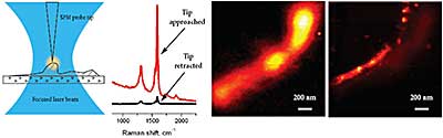 Raman microscopy with ultra-high spatial resolution.A - tip enhanced Raman scattering experiment, B - intensity of carbon nanotube G-band increases by several orders of magnitude when the probe tip is landed, C - confocal Raman image of carbon nanotube bundle. D- tip-enhanced Raman scattering (TERS) image of the same nanotube bundle. Note, TERS provides more than 4-times better spatial resolution as compared to confocal microscopy. Data courtesy of Dr. S.Kharintsev,Dr. J. Loos, TUE, the Netherlands and Dr. P.Dorozhkin, ISSP RAS, Russia.