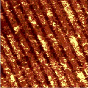Image of the integral intensity of all Raman lines: Carbon nanotubes assembled in rows with corresponding Raman spectra. Scan range: 100 µm x 100 µm.