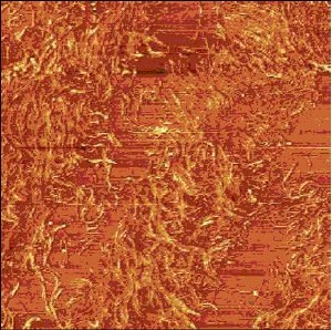 AFM measurement, 20 µm x 20 µm.