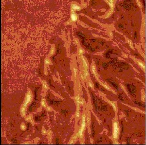 Zoom-in, 1,5 µm x 1,5 µm.