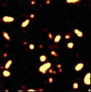 Different carbon nanotubes are visible, depending on the polarisation of light. Polarisation plain in Fig. 10 (bottom) is rotatet by 90 degrees.