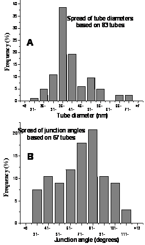 Statistical frequency of A) MWNT diameter (including gold coating (10 nm) to prevent charging effects during SEM) and B) junction angle, taken for a variety interconnects over all tested growth conditions.