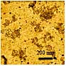 Plasmid DNA deposited onto mica surface pretreated with APTES