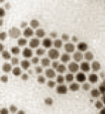 This graphis shows a TEM image of a nanostructured metal colloid.