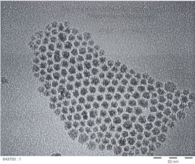 TEM micrograph of air-stable 10 nm cobalt particles.