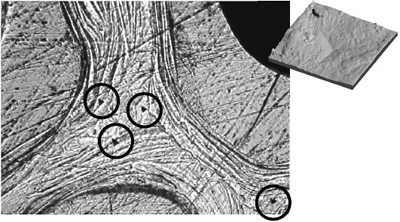 Optical micrography of Berkovich indentation on Trabecular/cortical Nanoindentation and AFM high-resolution image. (12 x 12 x 1.5 μm)