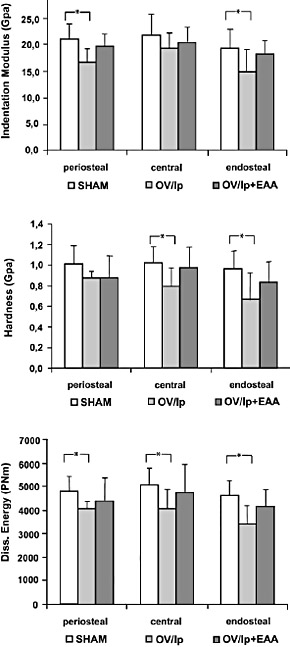 Results of the nanoindentation tests at the level of the posterior part of the vertebral body for all three treatment groups (see text). *Statistically significant ( P < 0.05).
