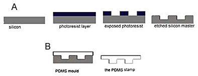 (a): Schematic of patterning a silicon master using traditional photolithography. (b): Schematic of casting an elastomer stamp from a silicon master. The stamp can then be used for soft lithography patterning. Many stamps can be cast from the same master.
