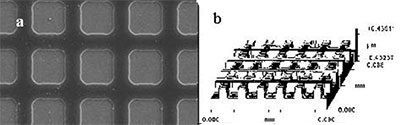 FESEM (a) shows a silicon master displaying grid patterns. Interferometry (b) shows the height profile of the master.