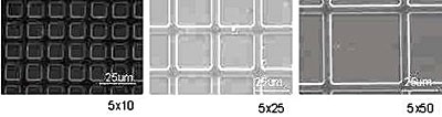 Catalyst micro-patterns generated by soft lithography patterning. The spacing between gridlines is 10, 25 and 50μm (left to right). The width of the gridlines is constant at 5μm.