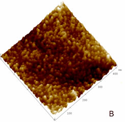 Online Journal of Nanotechnology - TMAFM image of a monolayer of AZ molecules immobilized on Au(111) substrate recorded in air at room temperature at a scan rate of 1.2 Hz.