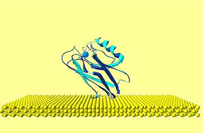 Online Journal of Nanotechnology - Graphical representation of the starting configuration of AZ immobilized through the S-S group on Au(111) substrate. The copper atom (blue sphere) at the active site and sulphurs of the disulfide groups (yellow) bound to gold are also shown.