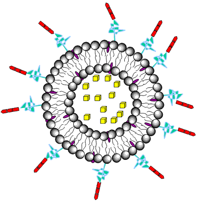 AZoJono - AZo Journal of Nanotechnology Online - Drug encapsulation in liposomes.