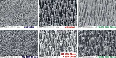 SEM-pictures of aligned CNTs before and after plasma treatment. After short treatment times (10sec) at 10 W power no disruption is visible whereas longer treatment times or higher power destroy the shape of the tubes without opening of the end caps.