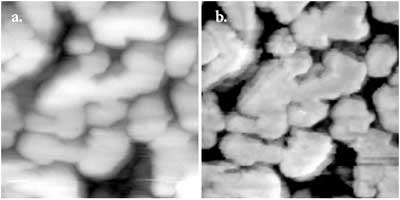 The image of composite (metal + fullerite C60). Average grain size ~0.4–0.8 μm. Image size: 3.5 x 3.5 μm: a) topography of surface; b) Young's modulus map.