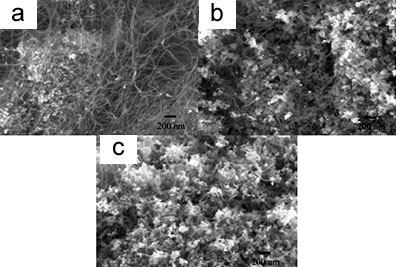 SEM micrographs of bamboo structure carbon nanotubes grown at 850 ºC for 60 minutes on (a) a 5 wt.% Cu-loaded Cu/Mo/MgO, (b) a 10 wt.% Cu-loaded Cu/Mo/MgO and (c) a 15 wt.% Cu-loaded Cu/Mo/MgO catalyst by CVD (Mo loading was 5 wt.% in both cases).