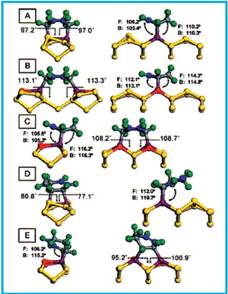 CASTEP-optimized structures for different binding modes of 1,3-CHD on 6 Si(100).