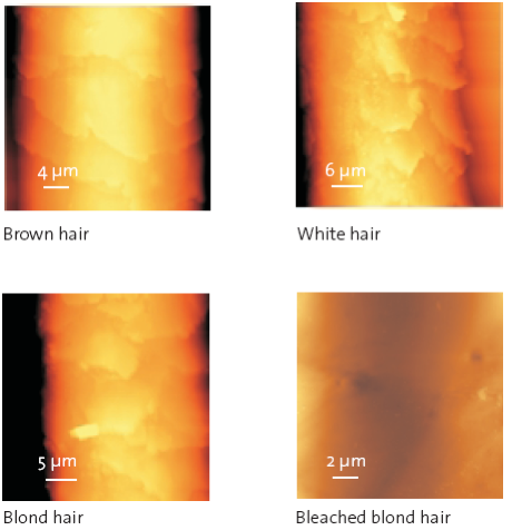 Investigating Reactions Of The Surface Of Human Hair To Chemical