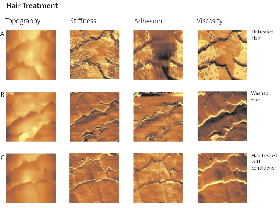 Investigating Reactions Of The Surface Of Human Hair To Chemical