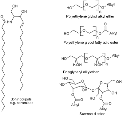 AZoNano, Nanotechnology - This diagram shows the chemical structure of lipids forming sphingosomes and niosomes.