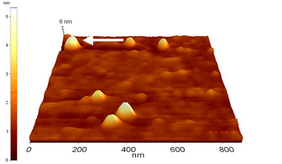 AZoNano – Online Journal of Nanotechnology - Topographic image of Au colloids deposited on MPTMS treated glass (Sample 1) as measured by CM-AFM in air.