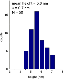 AZoNano – Online Journal of Nanotechnology - Corresponding statistical distribution of colloid height as estimated from cross section profiles analysis over 50 nanoparticles.