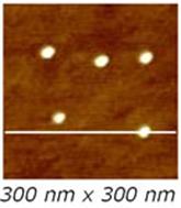 AZoNano – Online Journal of Nanotechnology - 300 x 300 nm2 TM-AFM image of the Sample 1 .