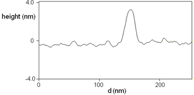 AZoNano – Online Journal of Nanotechnology - Typical single protein cross section profile for the molecule indicated by the white arrow in (a).