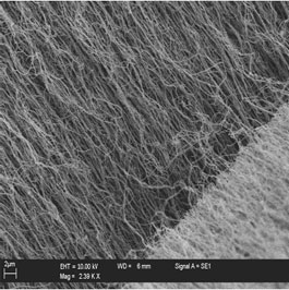 SEM Images of carbon nanotubes reaction temperature 850°C, hydrogen flow rate 300 ml/min and reaction time 45min.