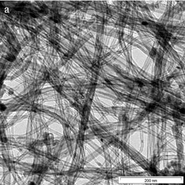 TEM images of CNTs (a) Low resolution (b) High resolution.