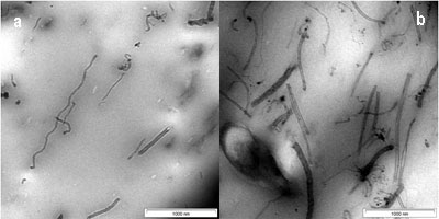 TEM image of CNTs in SMR CV60 (a) 1 wt % of CNTs (b) 3 wt % of CNTs (c) 5 wt % of CNTs (d) 7 wt % of CNTs and (e) 10 wt % of CNTs.