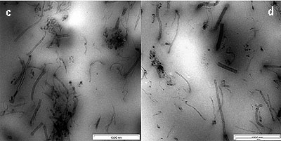 TEM image of CNTs in SMR CV60 (a) 1 wt % of CNTs (b) 3 wt % of CNTs (c) 5 wt % of CNTs (d) 7 wt % of CNTs and (e) 10 wt % of CNTs.