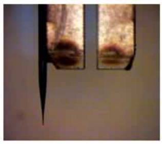 AZoNano, Nanotechnology - This picture shows an optical fiber mounted on a tuning fork (read the description below).