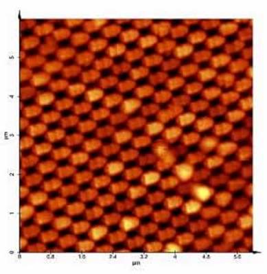 AZoNano, Nanotechnology - This picture show the image obtained with the optical probe in reflection configuration.