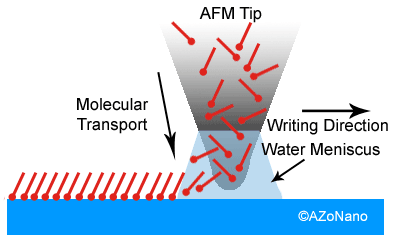 AZoNano - The A to Z of Nanotechnology - Schematic diagram showing how dip pen nanolithography works