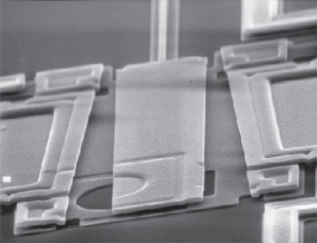 SEM micrograph of a typical polysilicon microshutter.