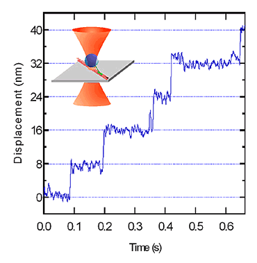 AZoNano, Nanotechnology – Diagram showing the measurement of the 8-nm steps of kinesin.